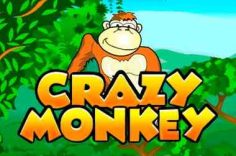 Play Crazy Monkey