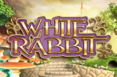 Play White Rabbit